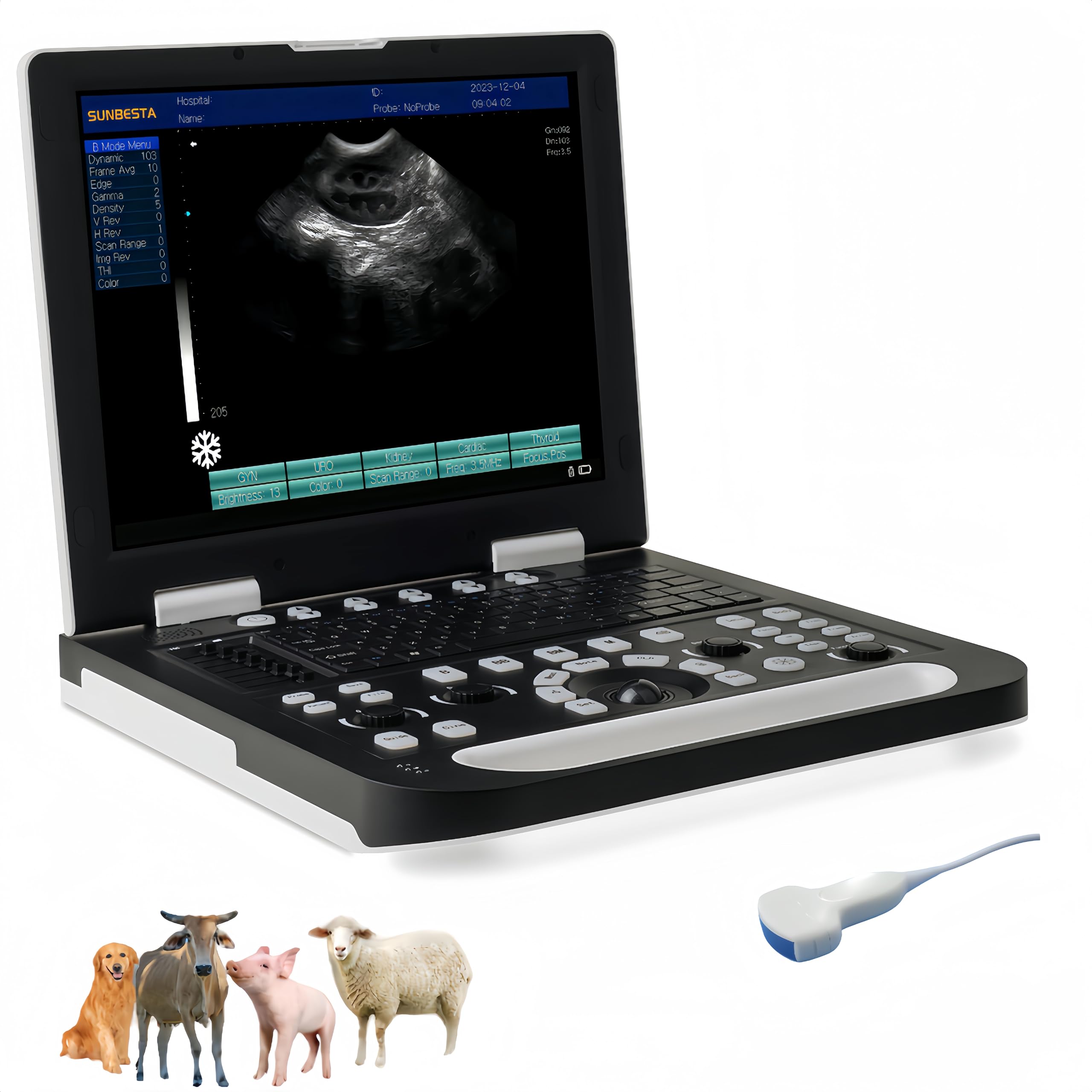 Amazon.com: SUNBESTA N50 Veterinary Ultrasound 15-Inch LCD for